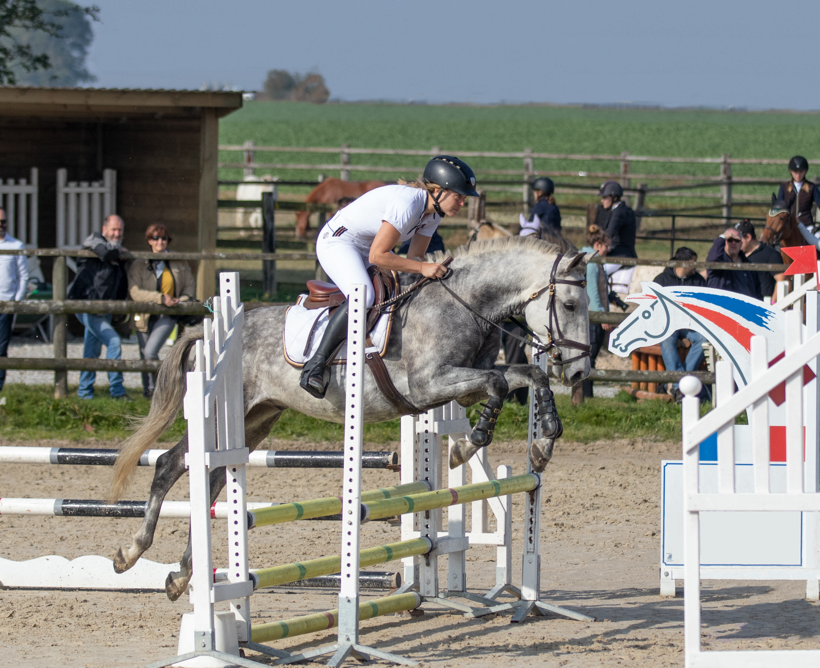 Photographe reportage cheval concours