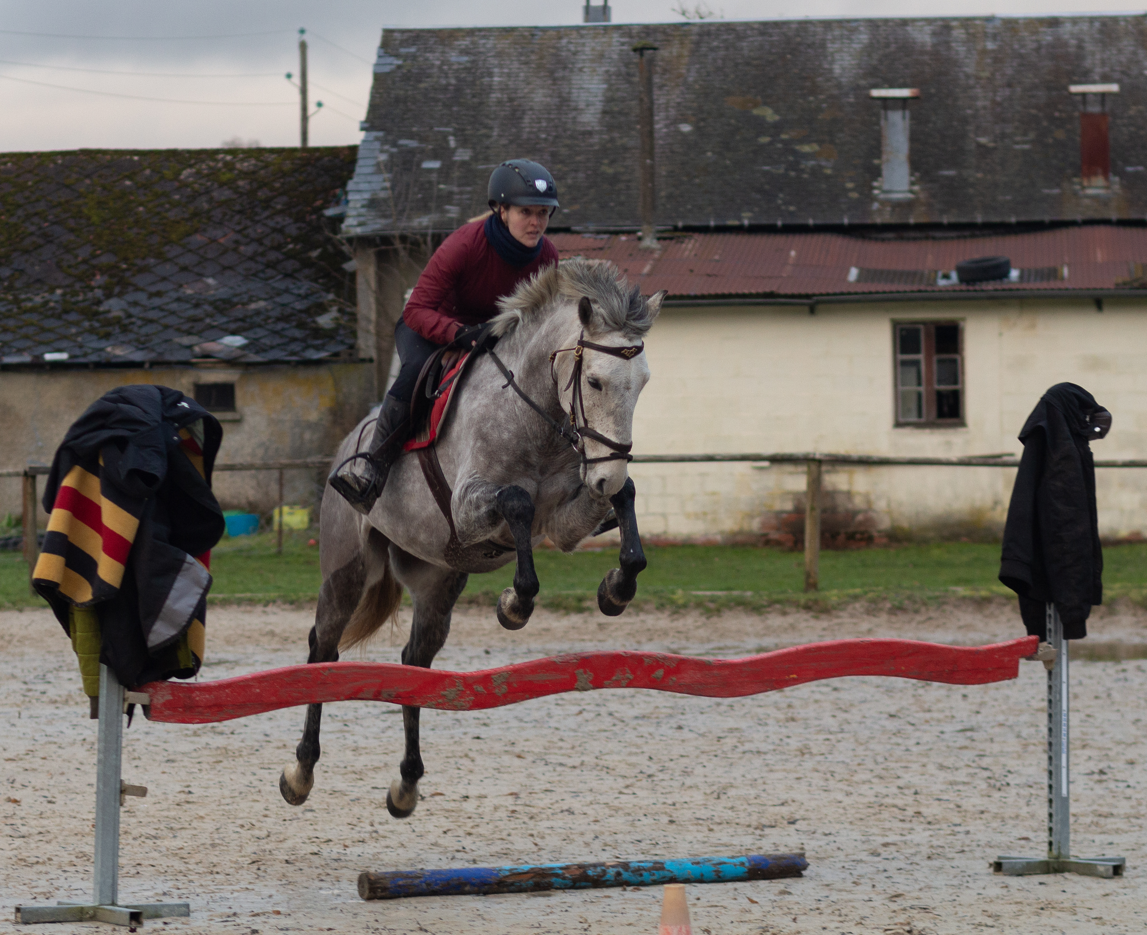 Photographe reportage cheval